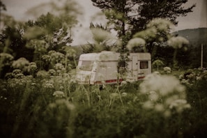 A white caravan is parked amidst tall grasses and wildflowers in a lush, green landscape with towering trees and a distant hill under an overcast sky.