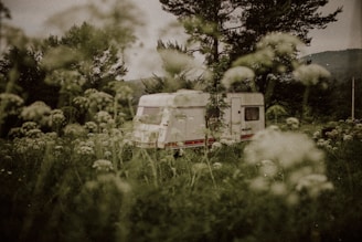A white caravan is parked amidst tall grasses and wildflowers in a lush, green landscape with towering trees and a distant hill under an overcast sky.
