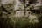 A scenic view of a caravan parked on a lush green hillside surrounded by trees.