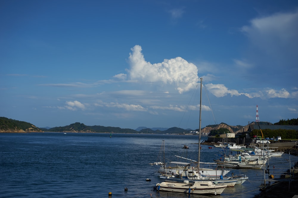 a bunch of boats that are sitting in the water