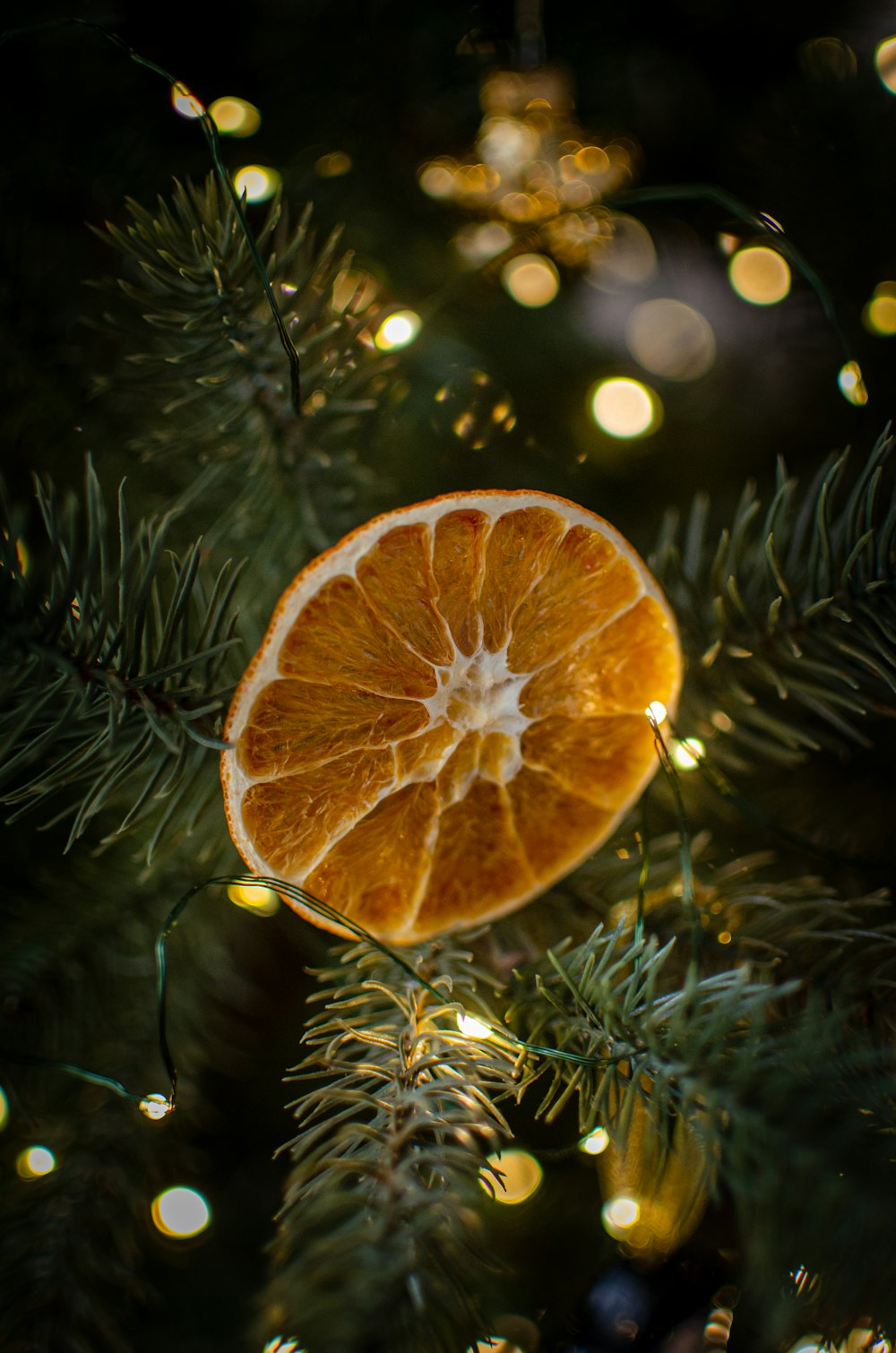 an orange cut in half sitting on top of a christmas tree