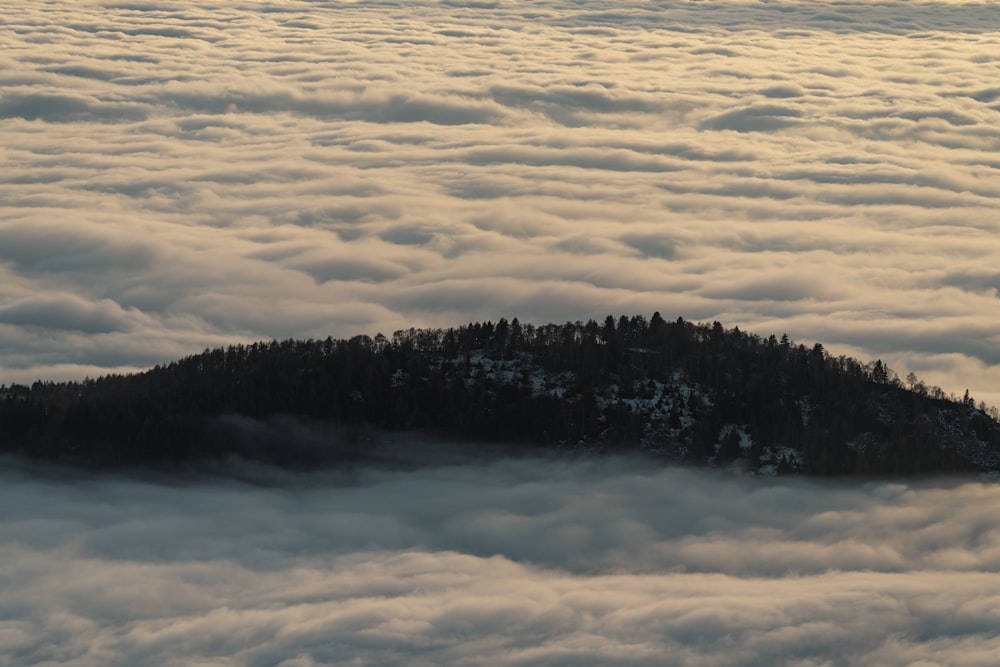 a small island in the middle of a sea of clouds