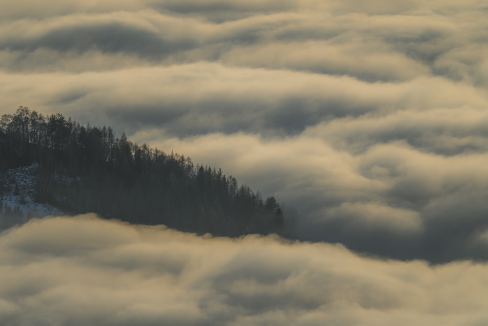 a mountain covered in clouds and trees