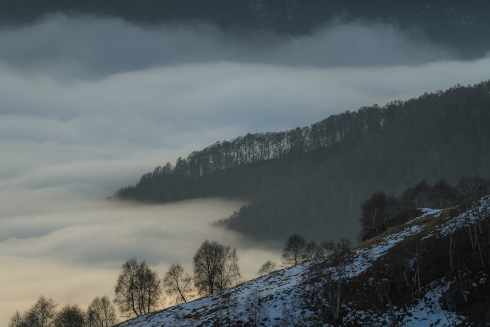 a mountain covered in fog and low lying clouds