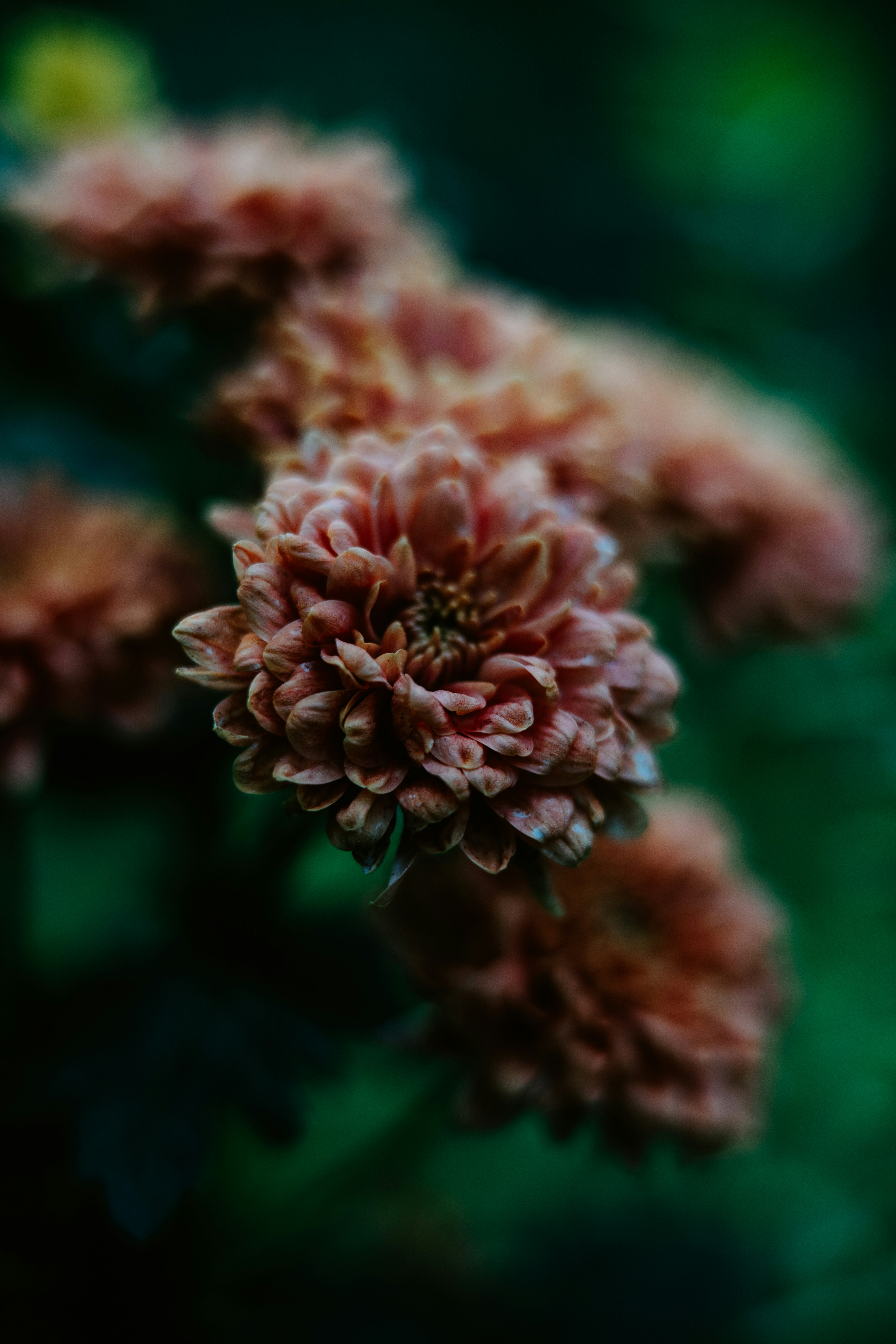 Photo by anamnesis33