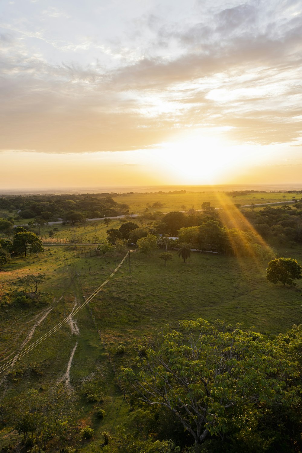 Il sole sta tramontando su un campo erboso