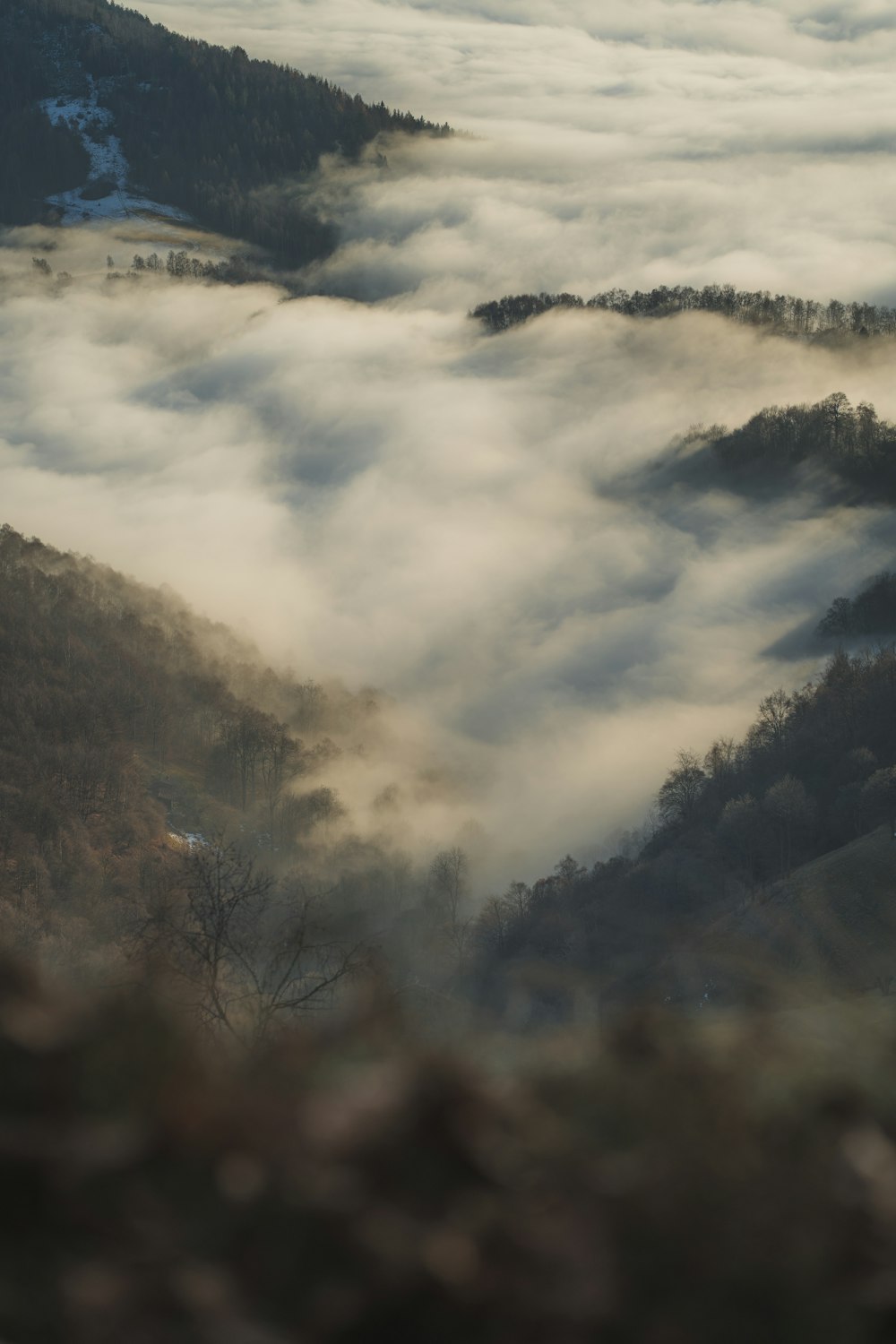 a view of a mountain covered in fog