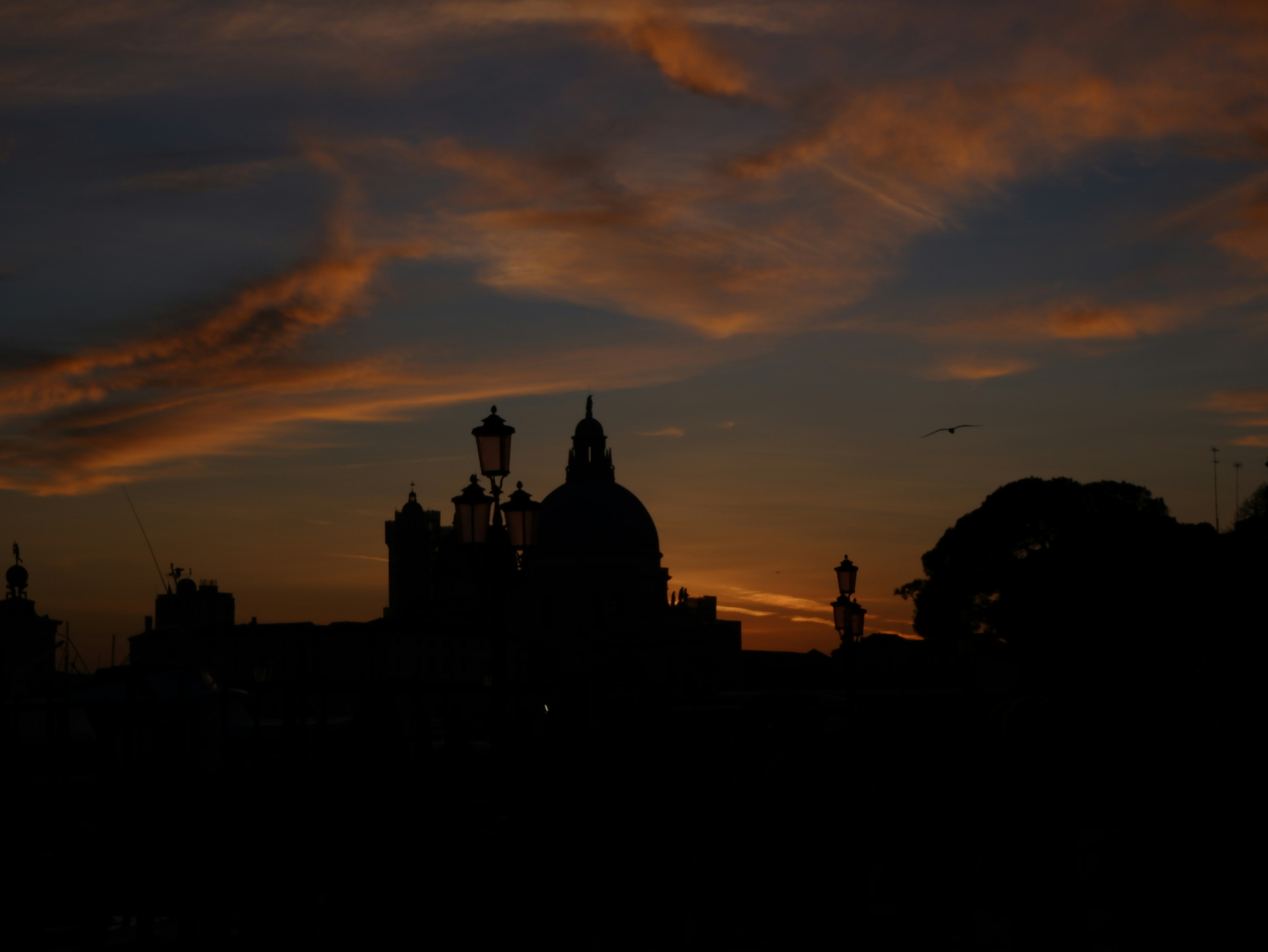 Photo by giacomopellegrino