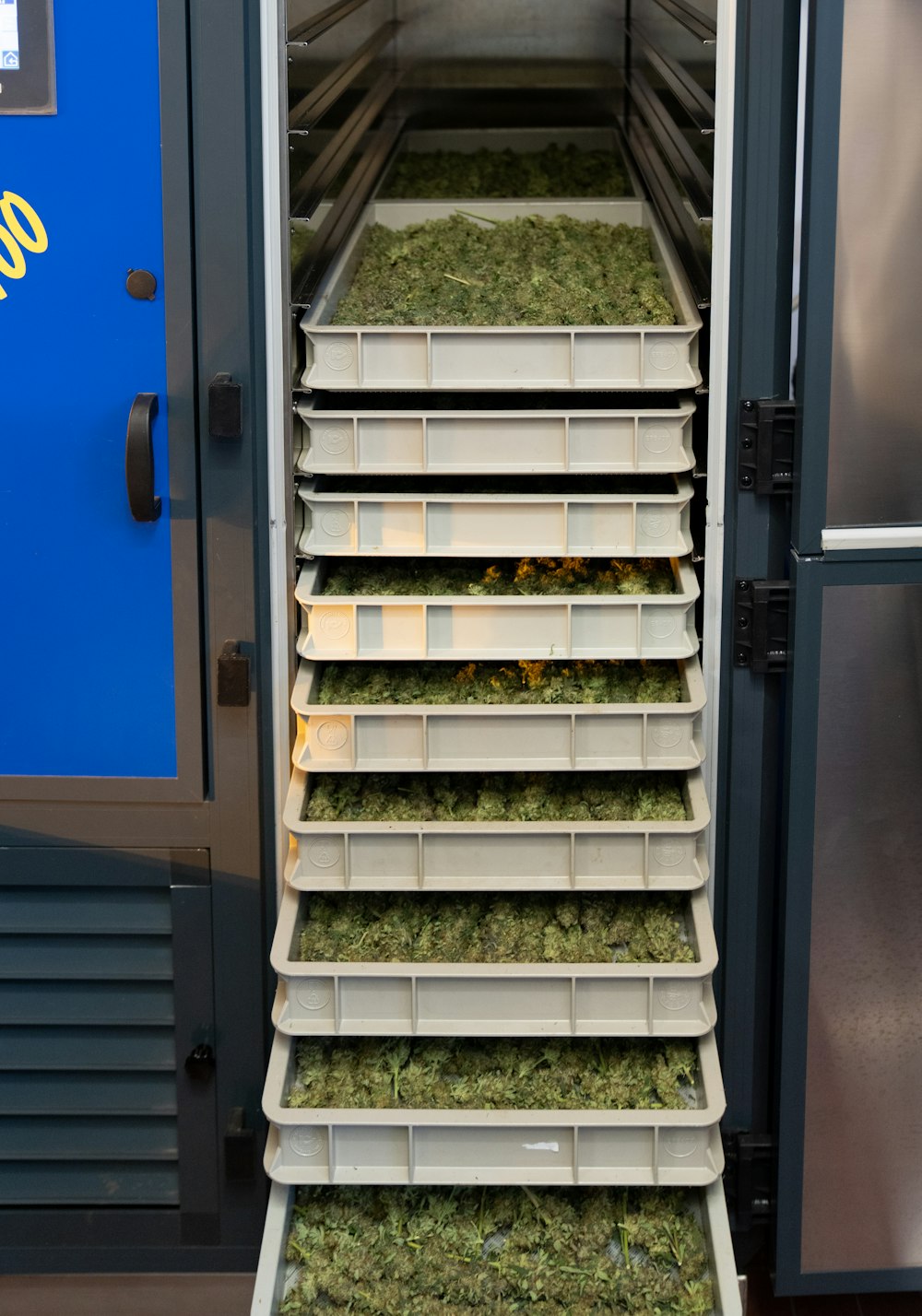 Un refrigerador lleno de muchas cosas verdes