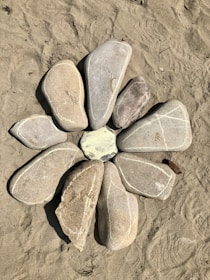 An inviting circle of stones arranged for group meditation.