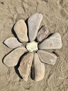 An inviting circle of stones arranged for group meditation.