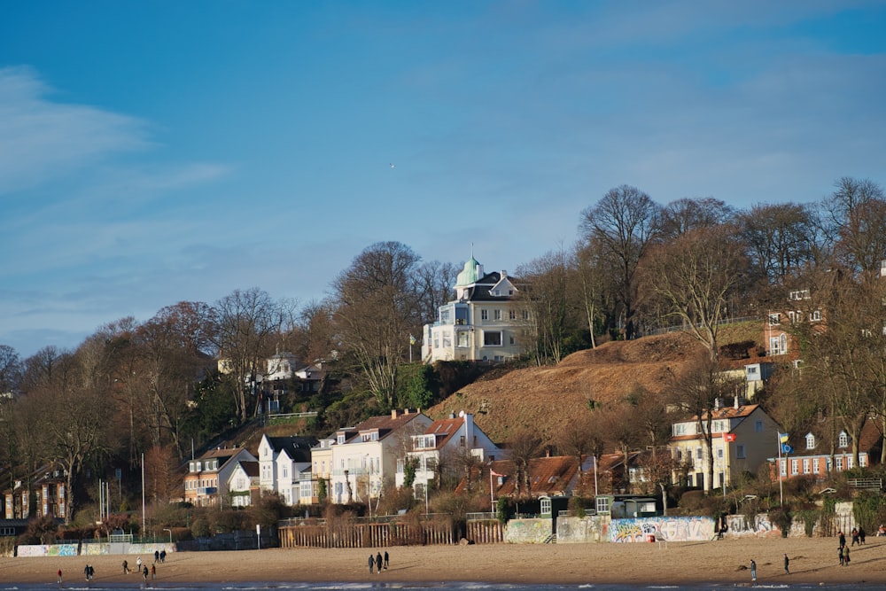 a beach with houses on a hill in the background