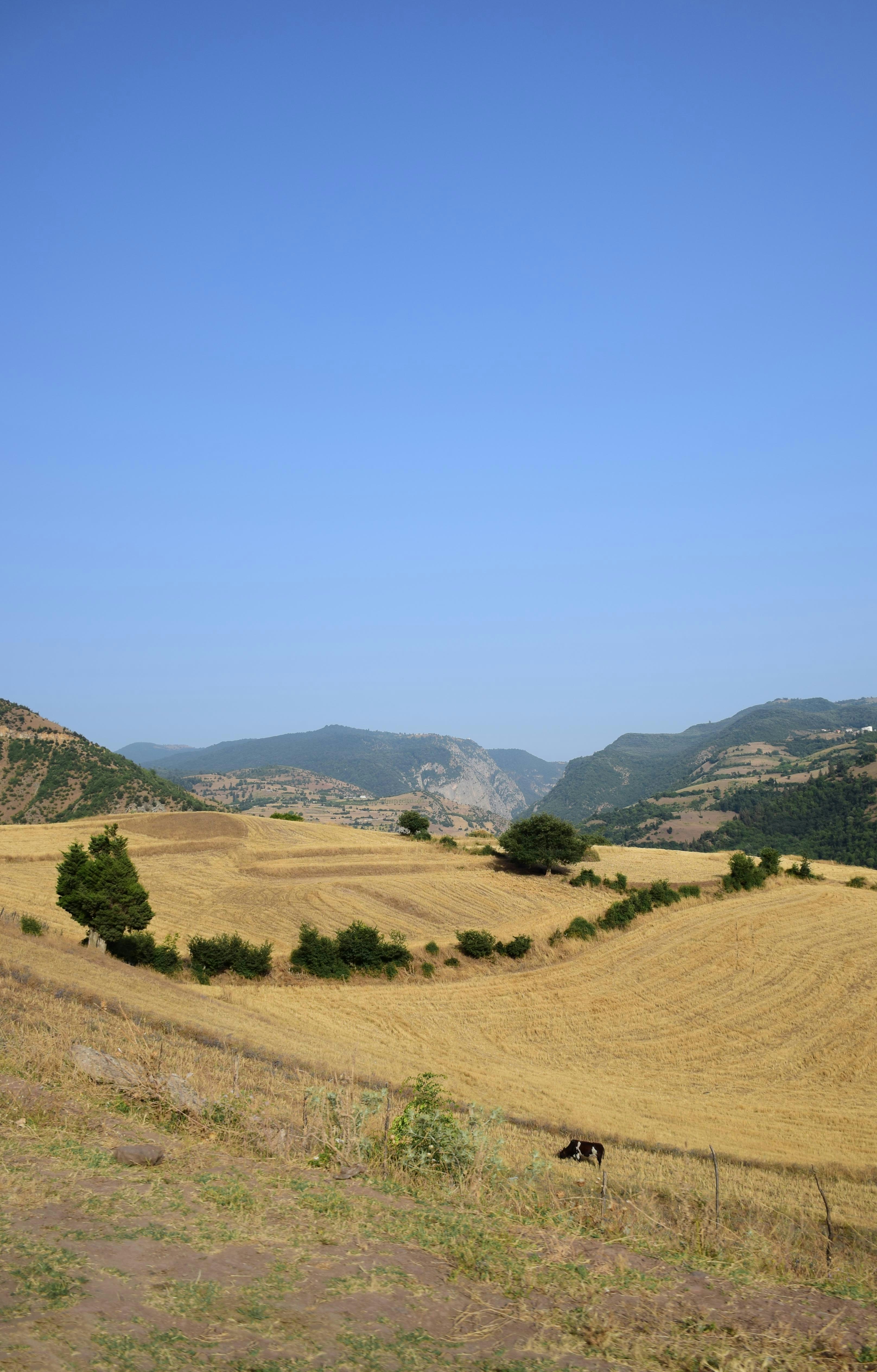 Photo by sina_senior