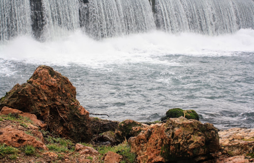 a bird sitting on a rock in front of a waterfall