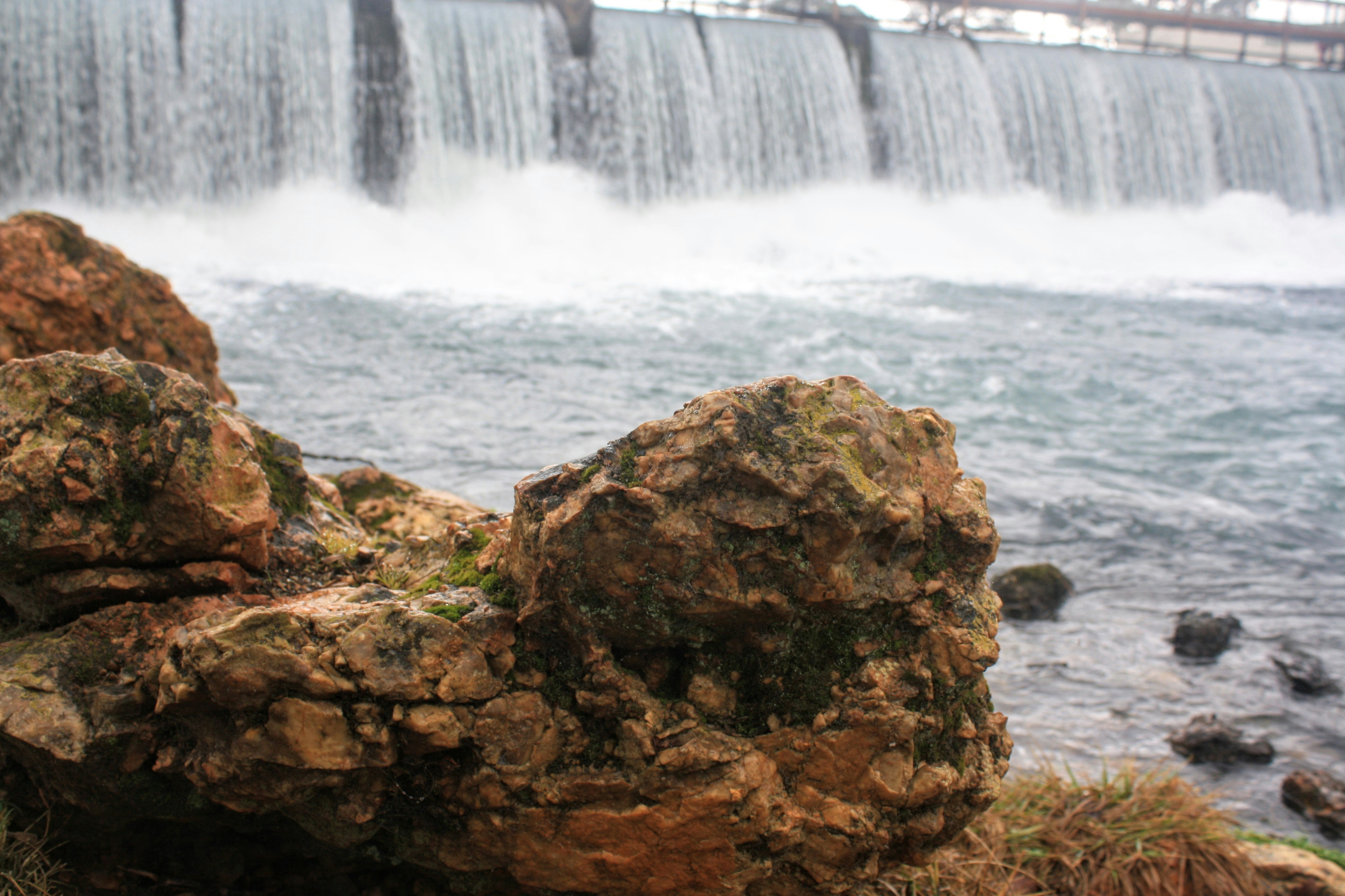 a bird sitting on a rock in front of a waterfall