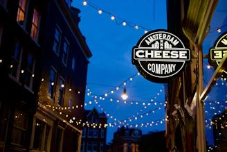 Golden hour scene with friends sharing cheese and wine outdoors in Amsterdam’s cozy courtyard.