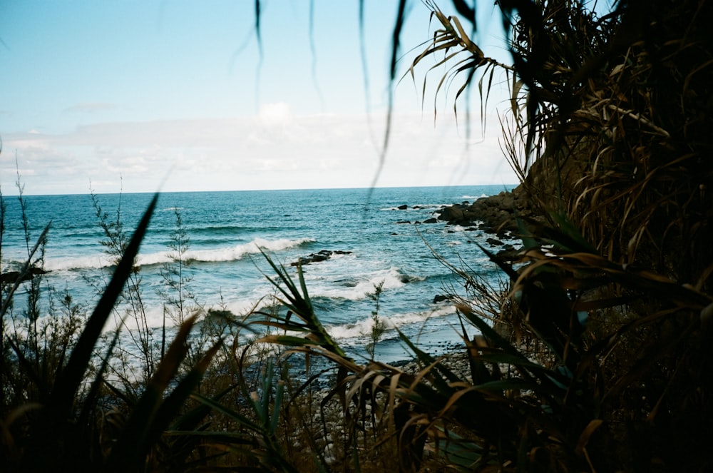 a view of a body of water with waves coming in