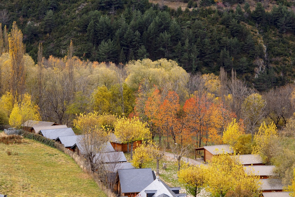 a group of houses sitting on top of a lush green hillside