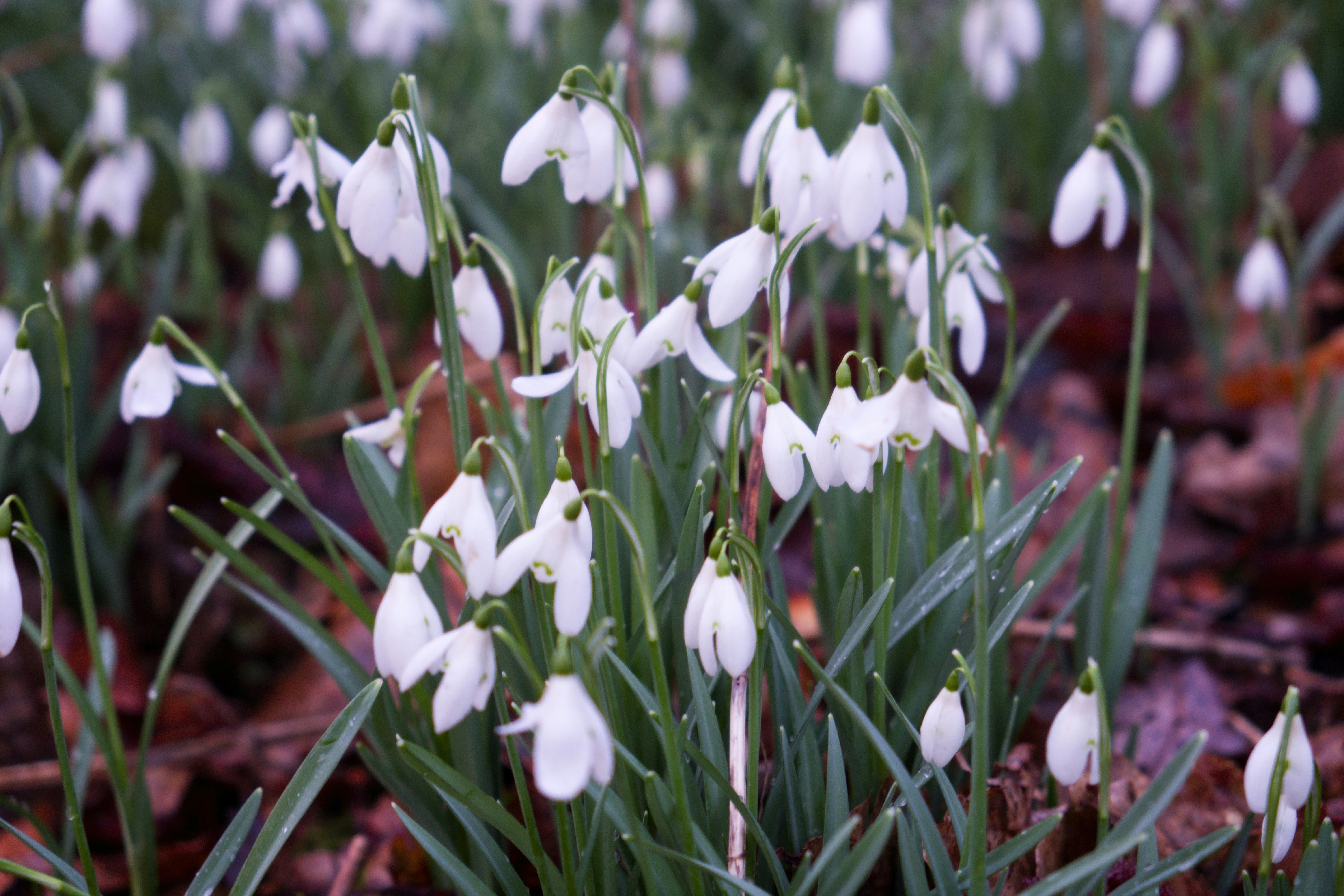 Photo by akele_eleka