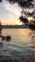 A serene lake reflecting the golden hues of a Siliana sunset framed by olive trees.