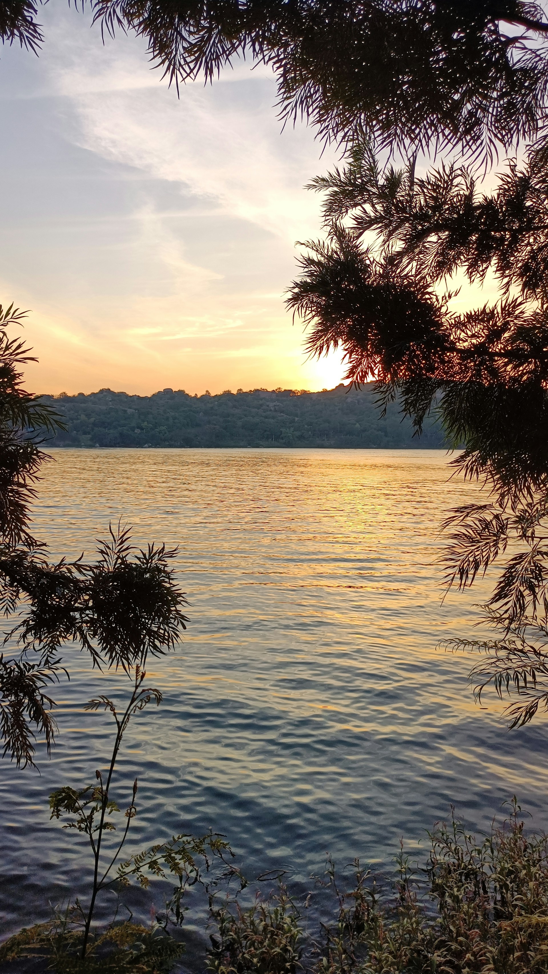 gray computer monitor