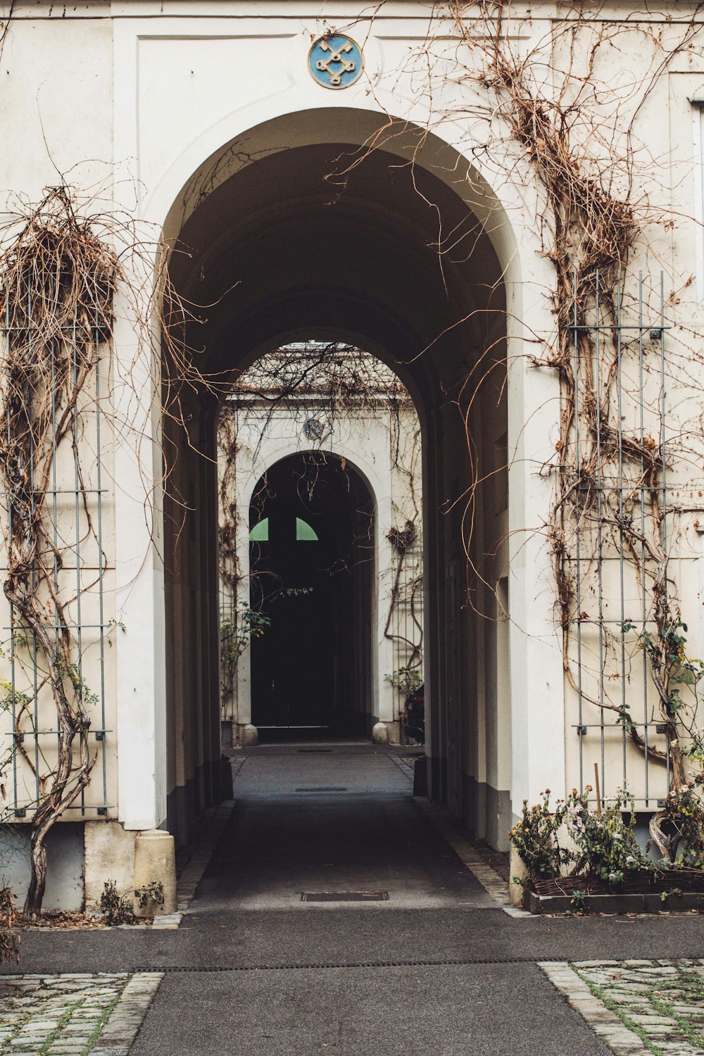 a building with vines growing on the side of it