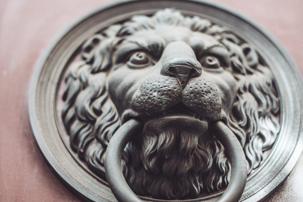 a close up of a lion's head on a door handle