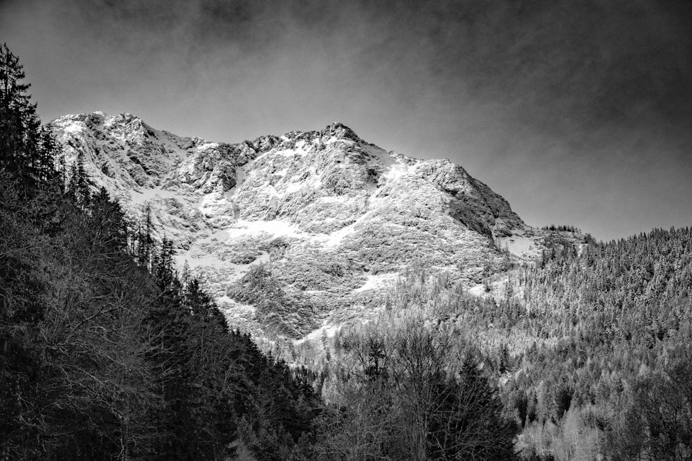 a black and white photo of a snow covered mountain