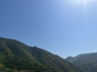 Rolling green hills of the Portuguese countryside under a bright blue sky.