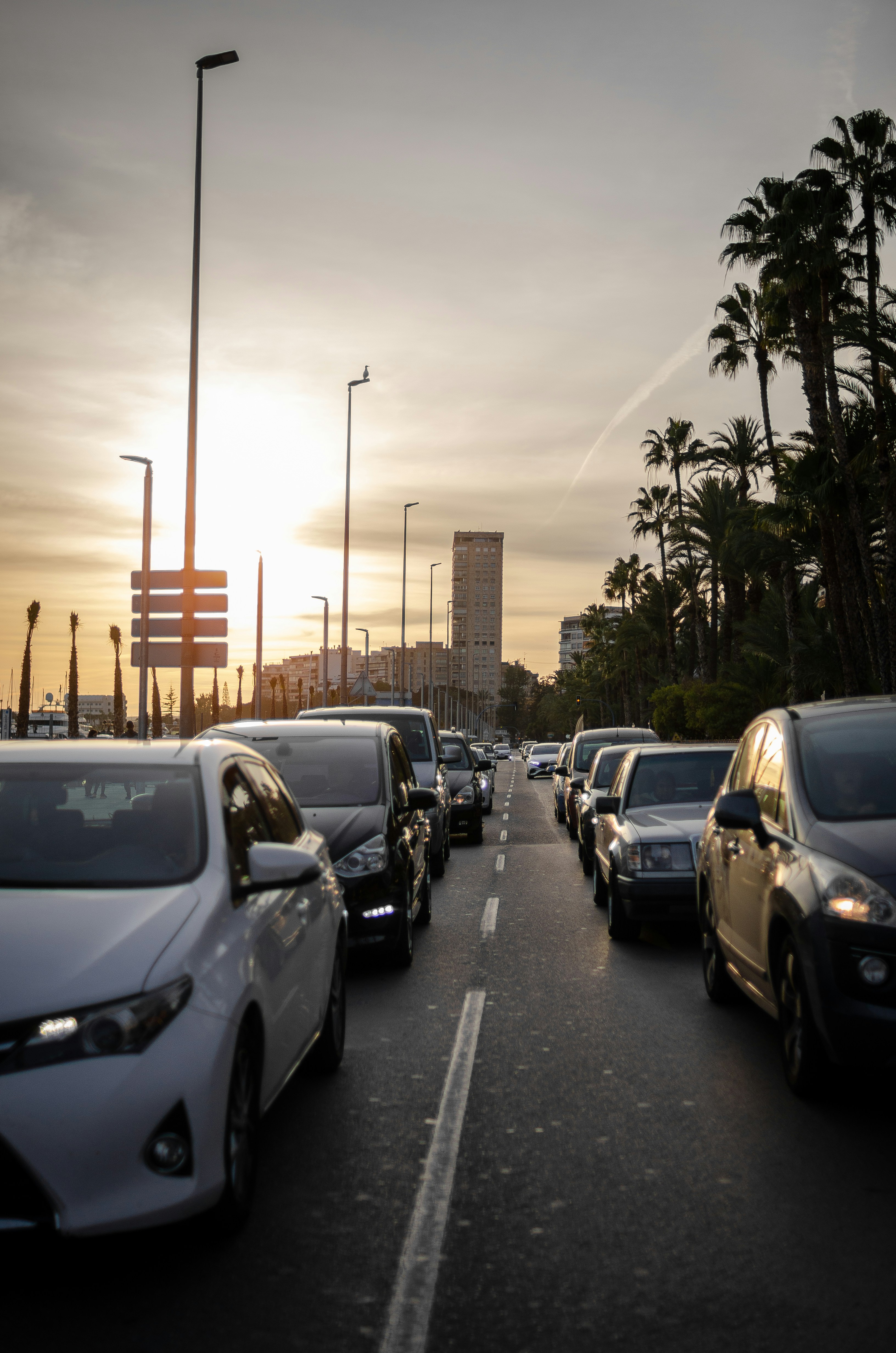 Photo by anastasia_shyrokykh