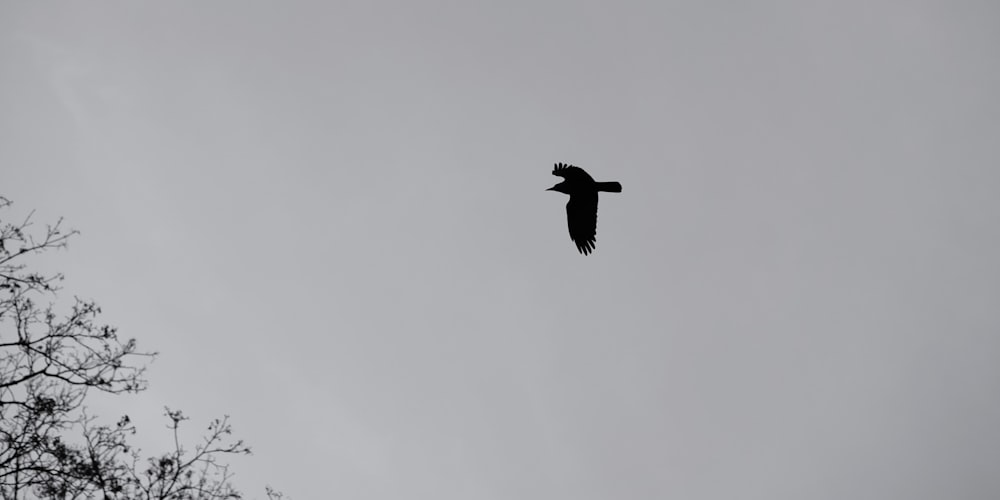a black bird flying through a cloudy sky