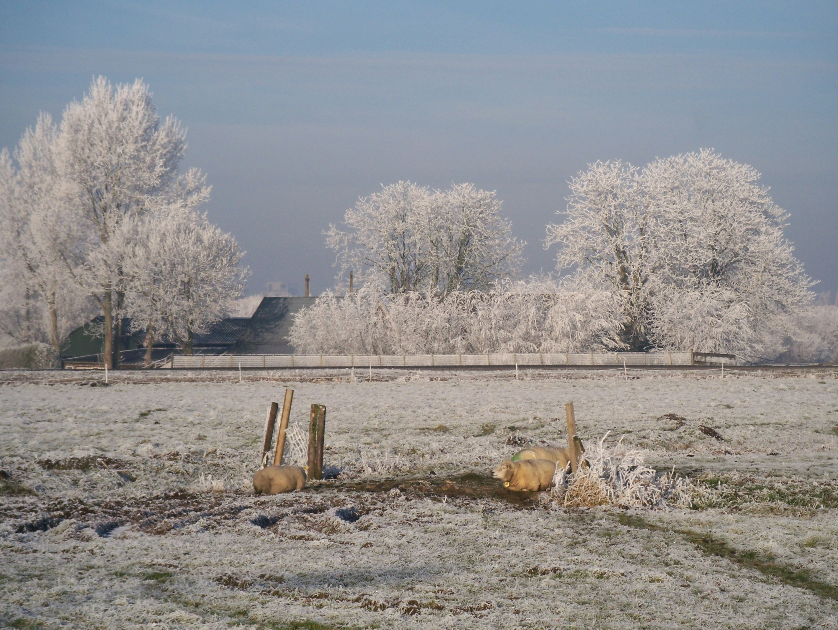 Afbeelding van Ouderkerk aan de Amstel