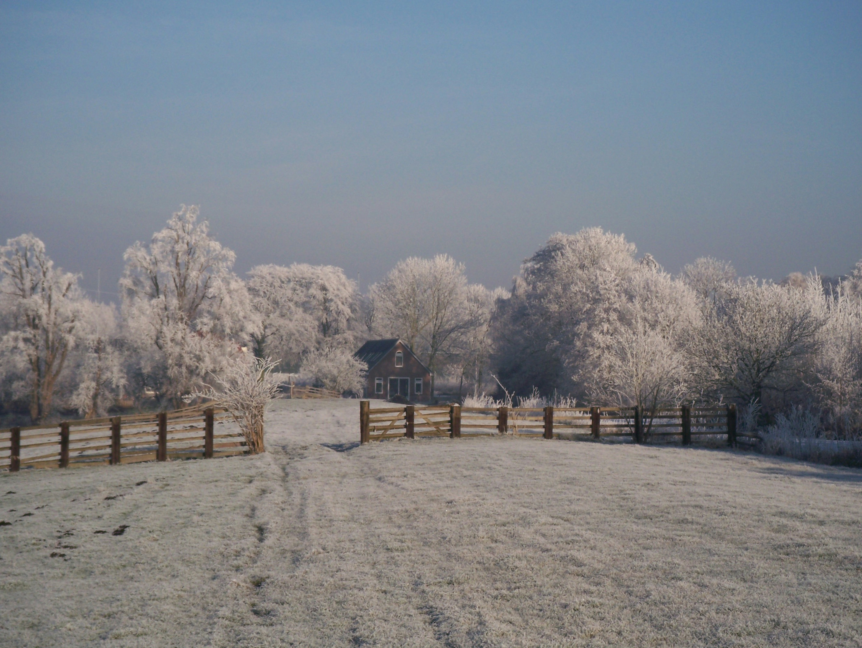 Photo by whatsinagame