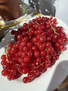 A heap of vibrant red currants is piled on a glossy white plate. The red fruits are small, round, and glisten under bright natural light. A shadow from the nearby plants falls across the surface, adding contrast.