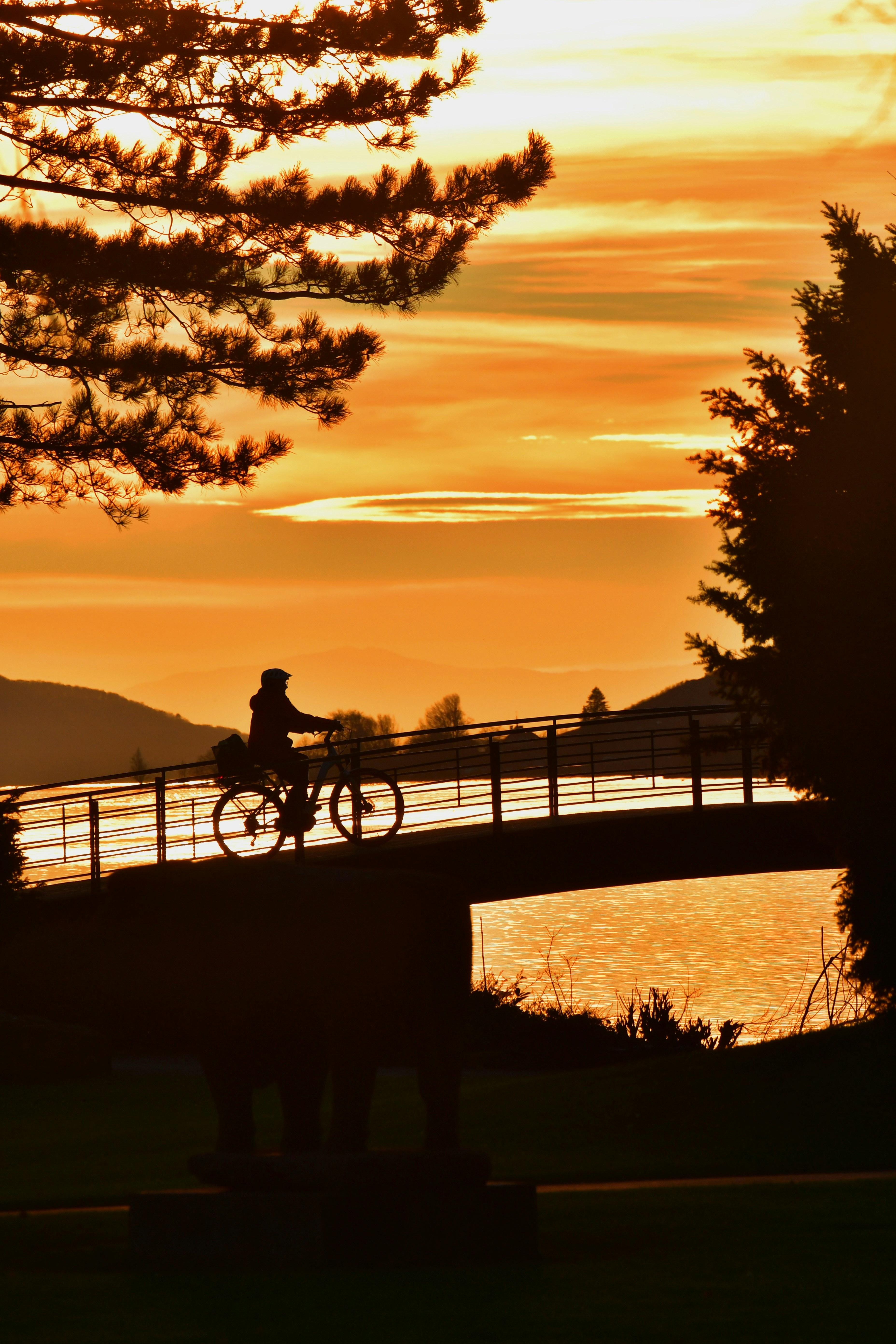 a person riding a bike across a bridge