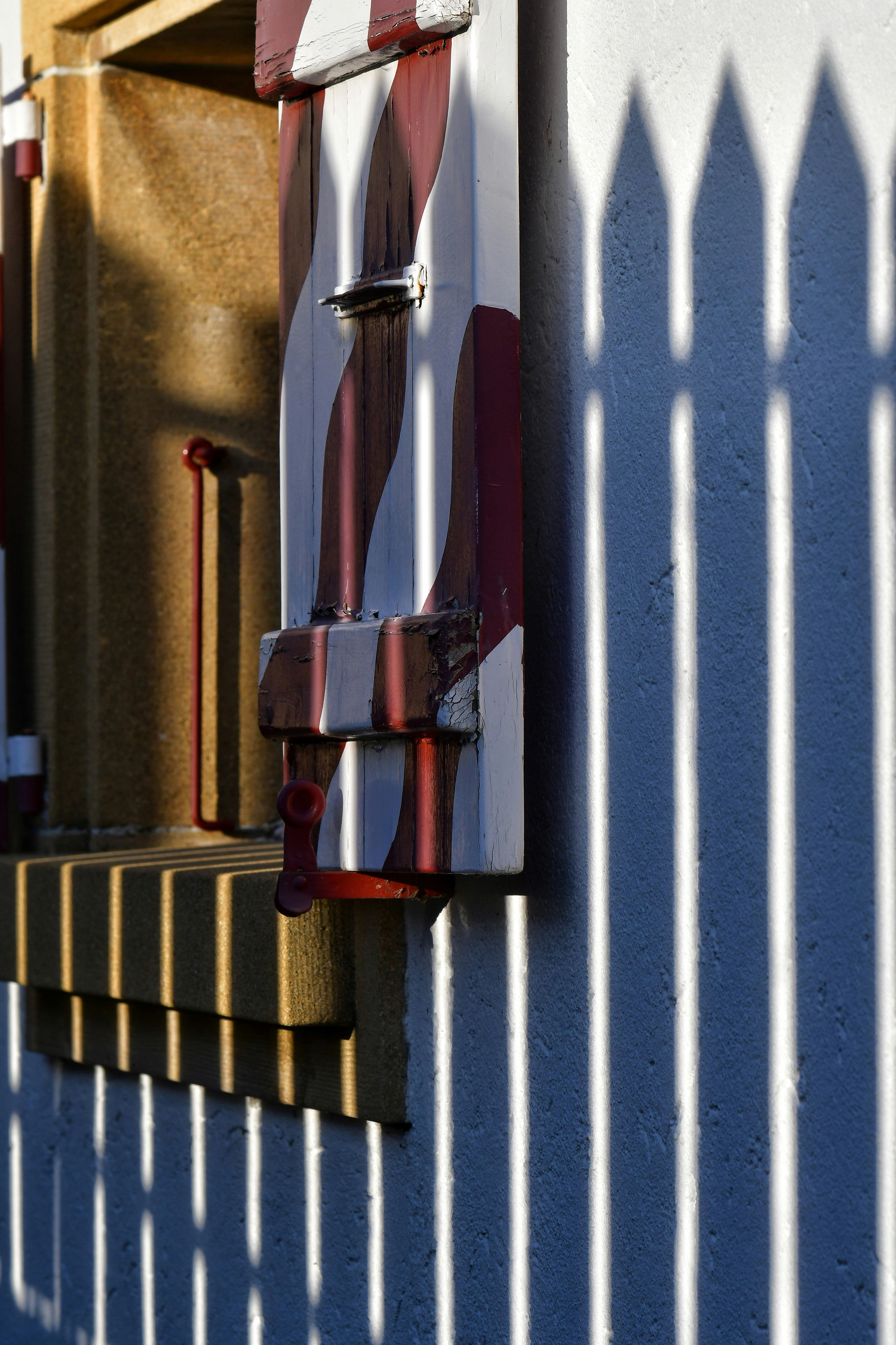 Photo by pedrino5_official