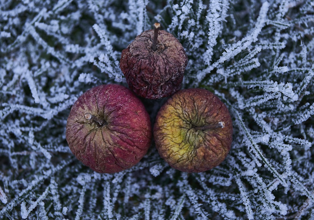 two red apples sitting on top of a frost covered ground