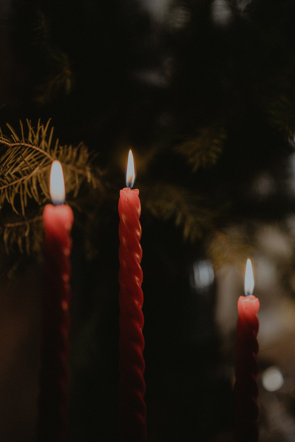 Tres velas se encienden frente a un árbol de Navidad