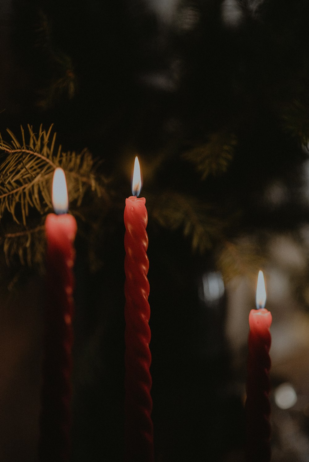 three candles are lit in front of a christmas tree