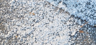 Scattered pieces of white and translucent ice or rock salt cover a dark asphalt surface. Small brown twigs or debris are interspersed among the granules.