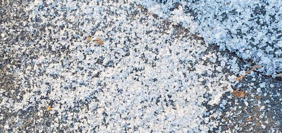 Scattered pieces of white and translucent ice or rock salt cover a dark asphalt surface. Small brown twigs or debris are interspersed among the granules.