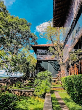 A modern green building surrounded by lush plants and solar panels under a clear blue sky.