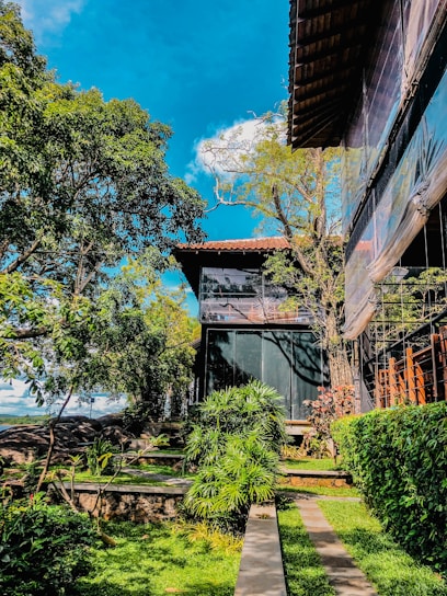 A modern green building surrounded by lush plants and solar panels under a clear blue sky.