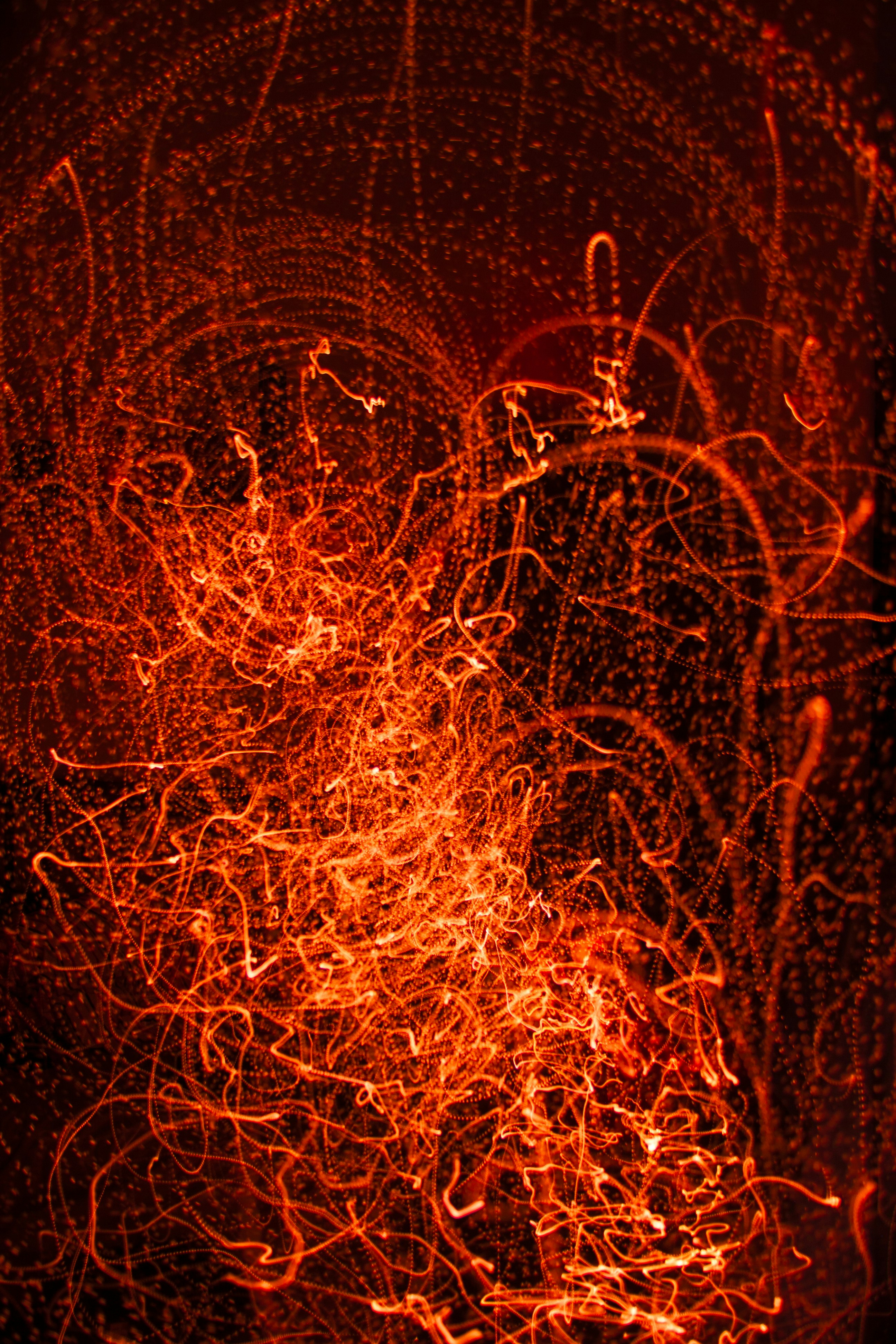 Photo by samuel_hagger