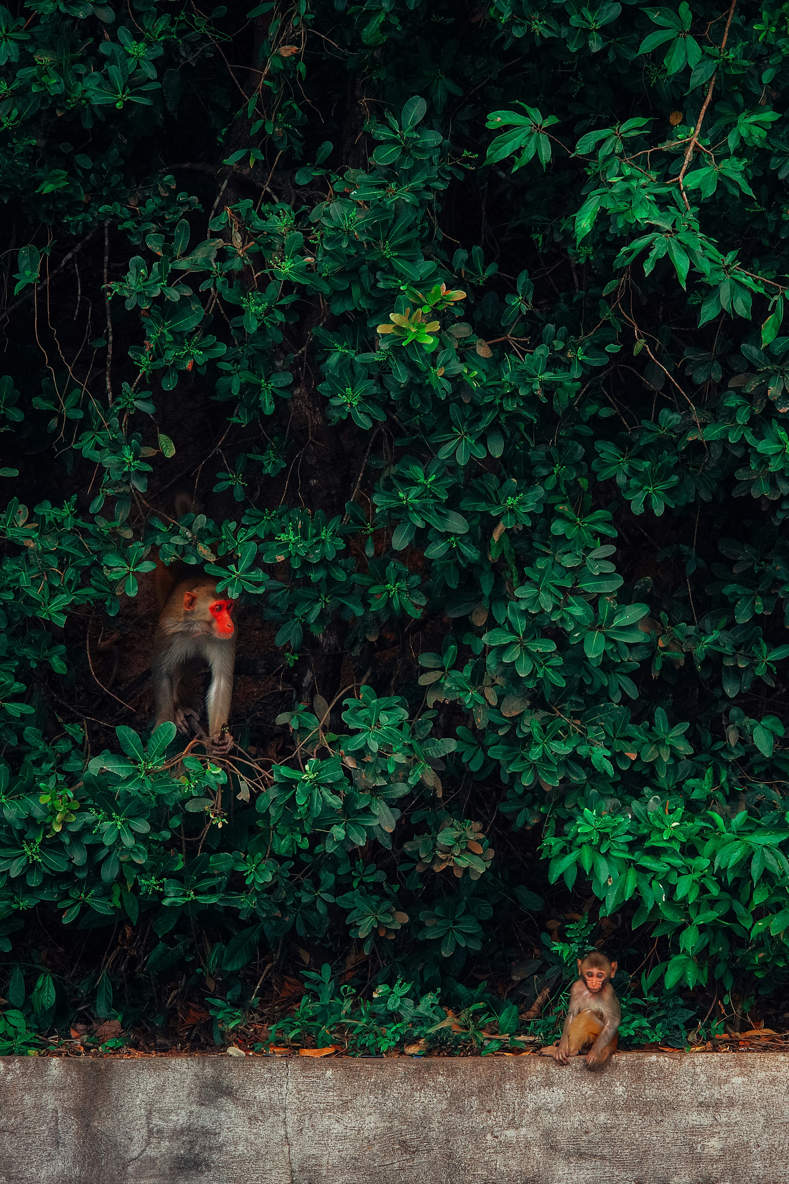 Photo by dynamicwang