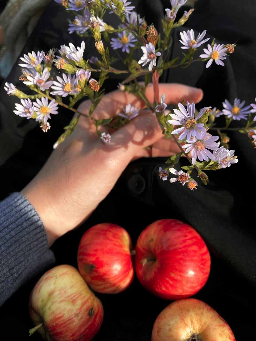 a person holding a bunch of flowers next to some apples