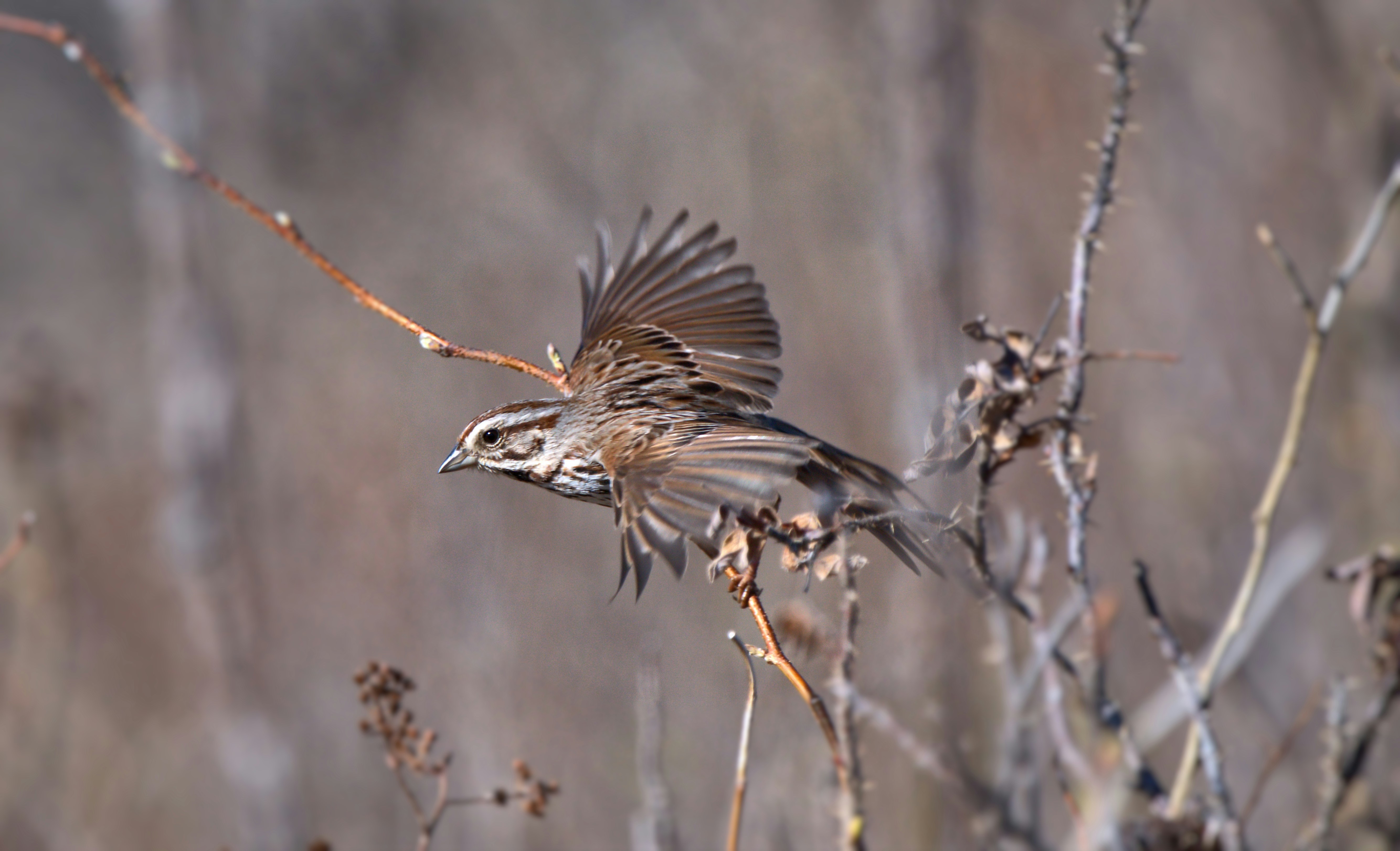 Photo by lens_poet_photography