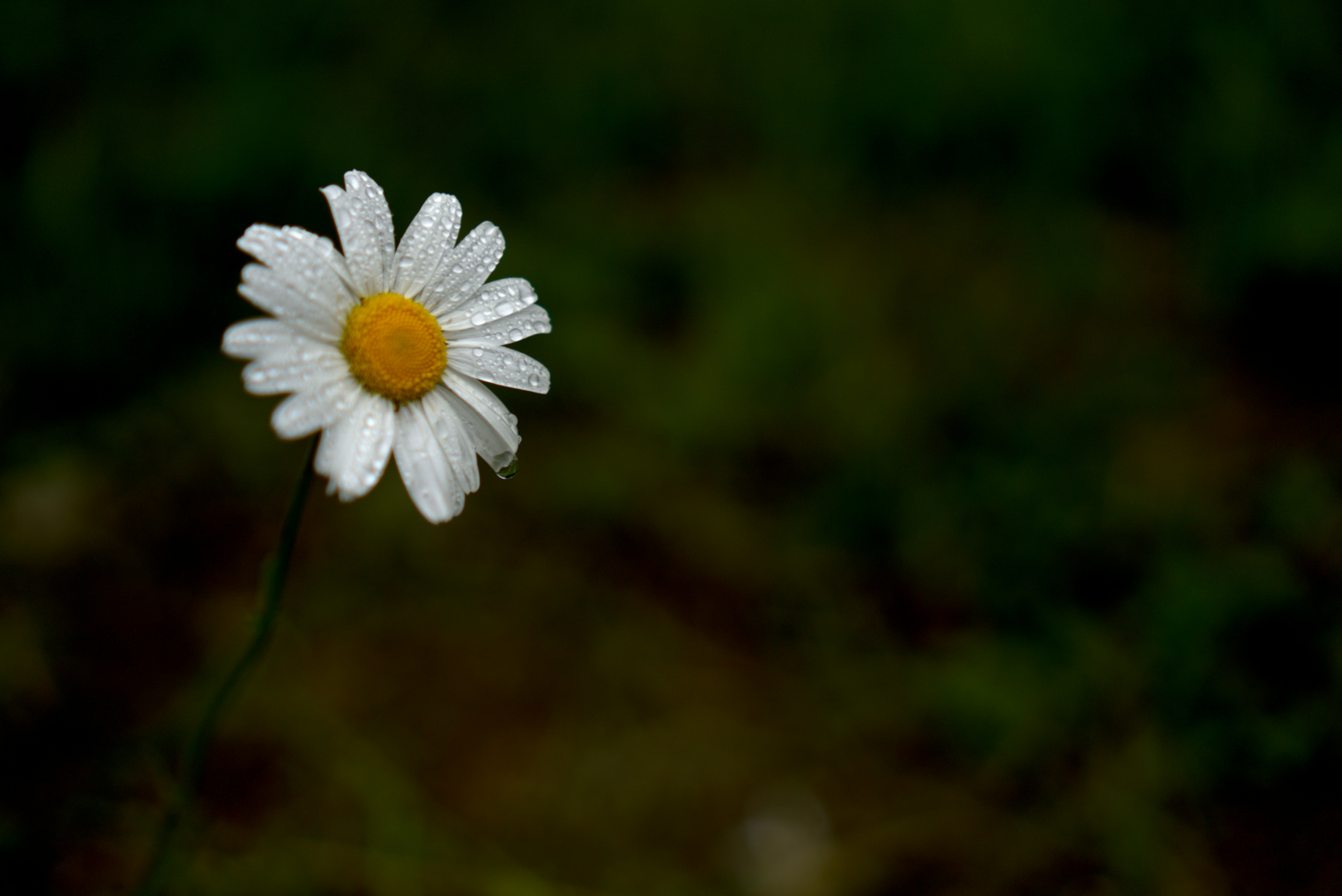 Photo by lens_poet_photography