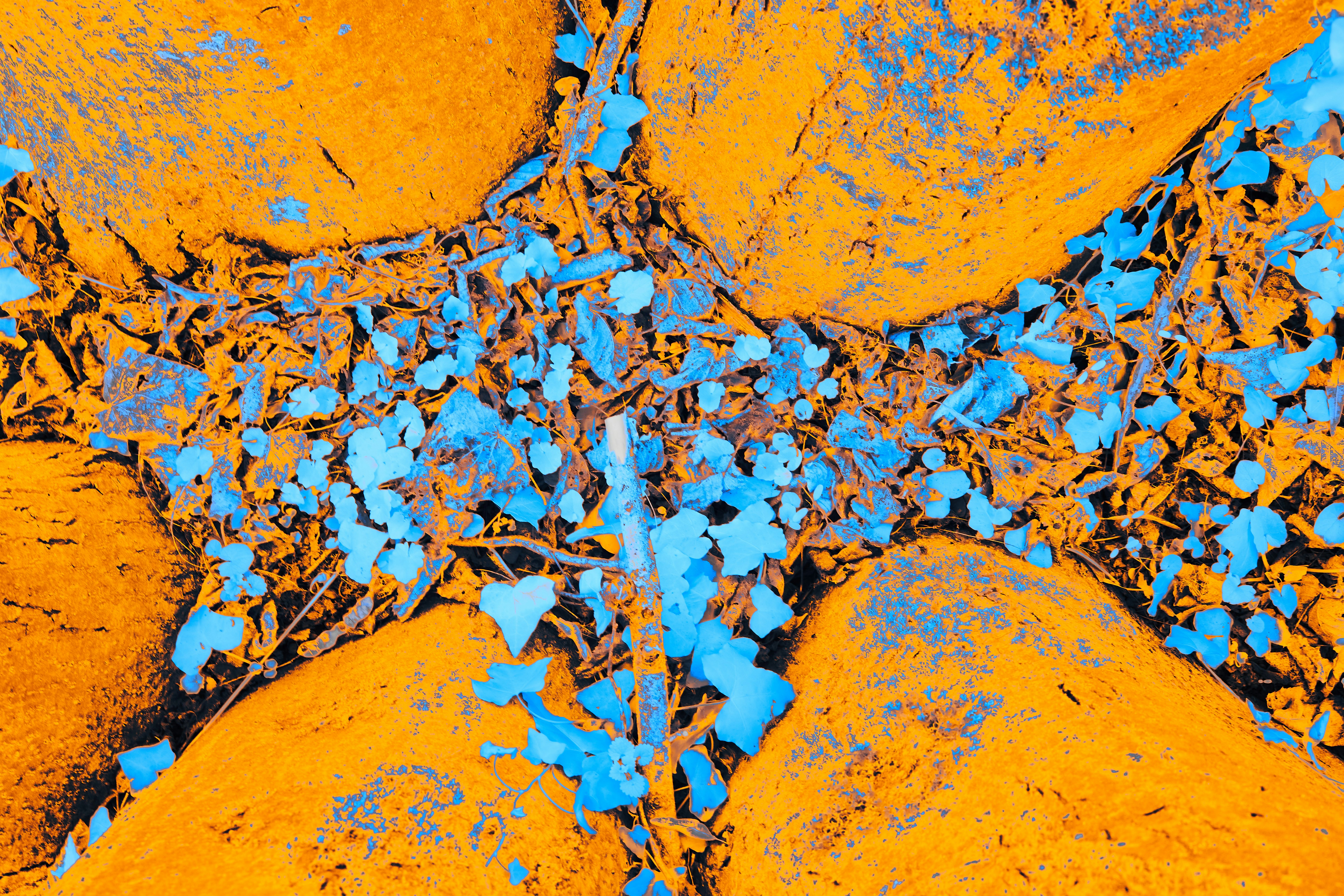 Photo by wolfgang_hasselmann