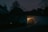 A dimly lit scene featuring a large, arched wooden door illuminated by a solitary lamp. The surrounding area is shrouded in darkness, with silhouettes of bare trees and a building with a pointed roof structure visible against the night sky.